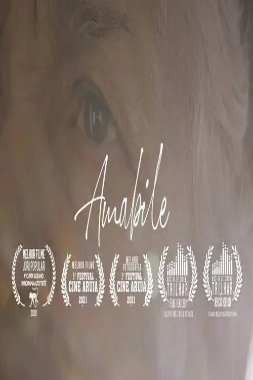 Poster for Amabile