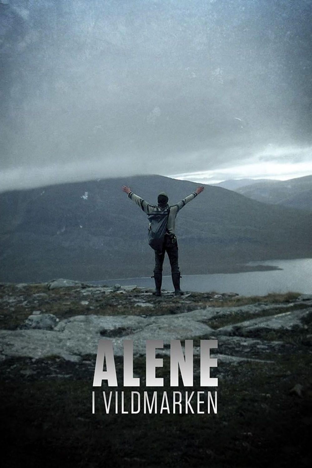 Poster of Alone in the Wilderness