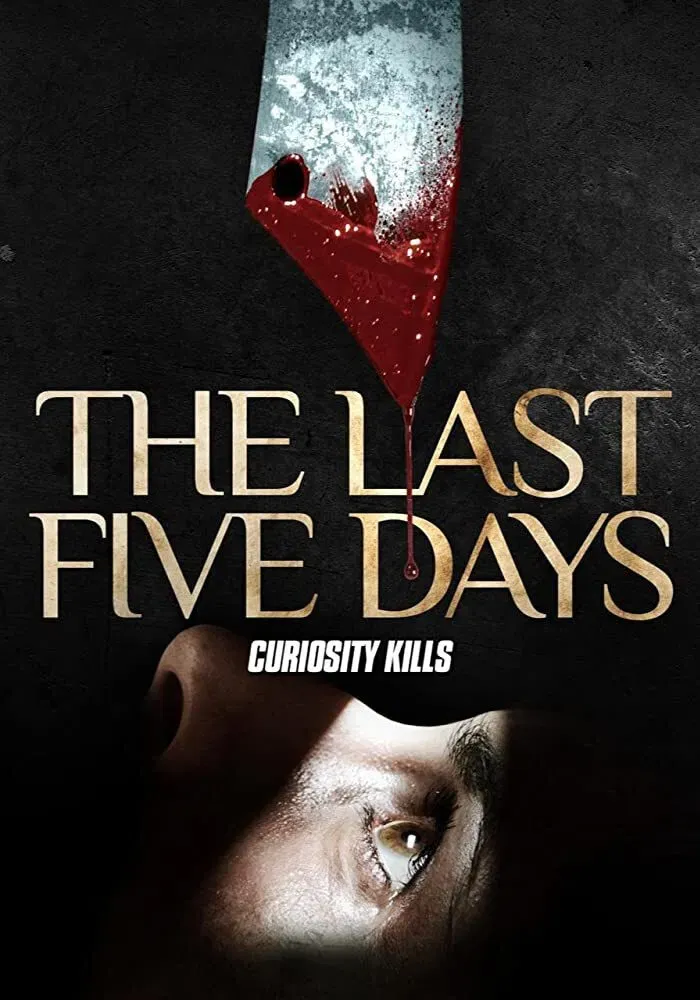 Poster of the movie The Last Five Days