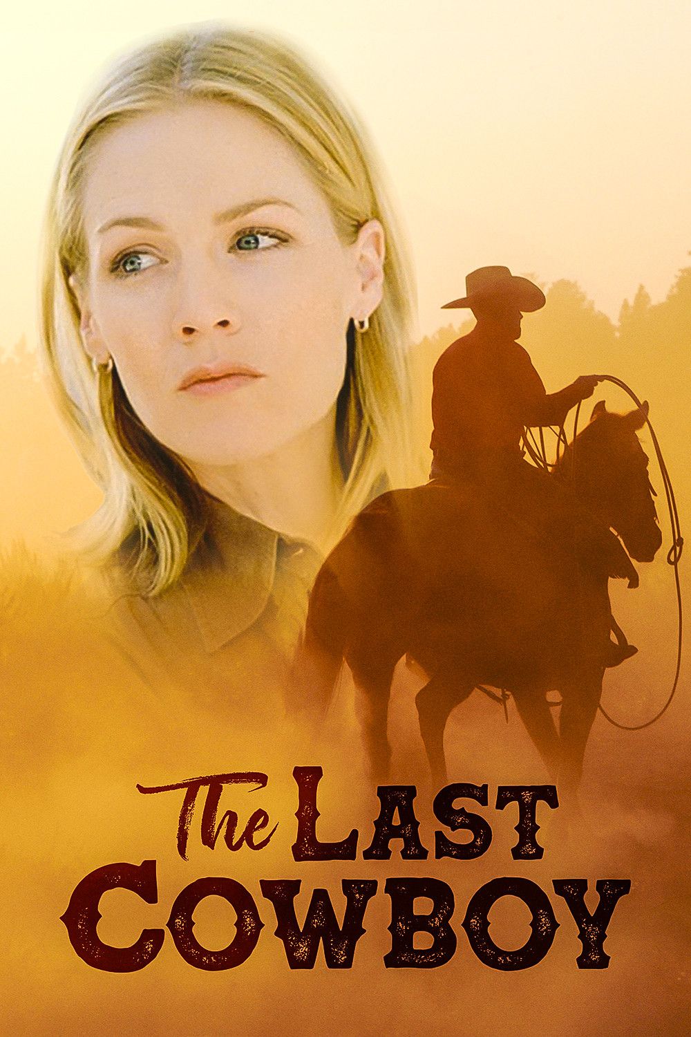 Poster of the movie The Last Cowboy