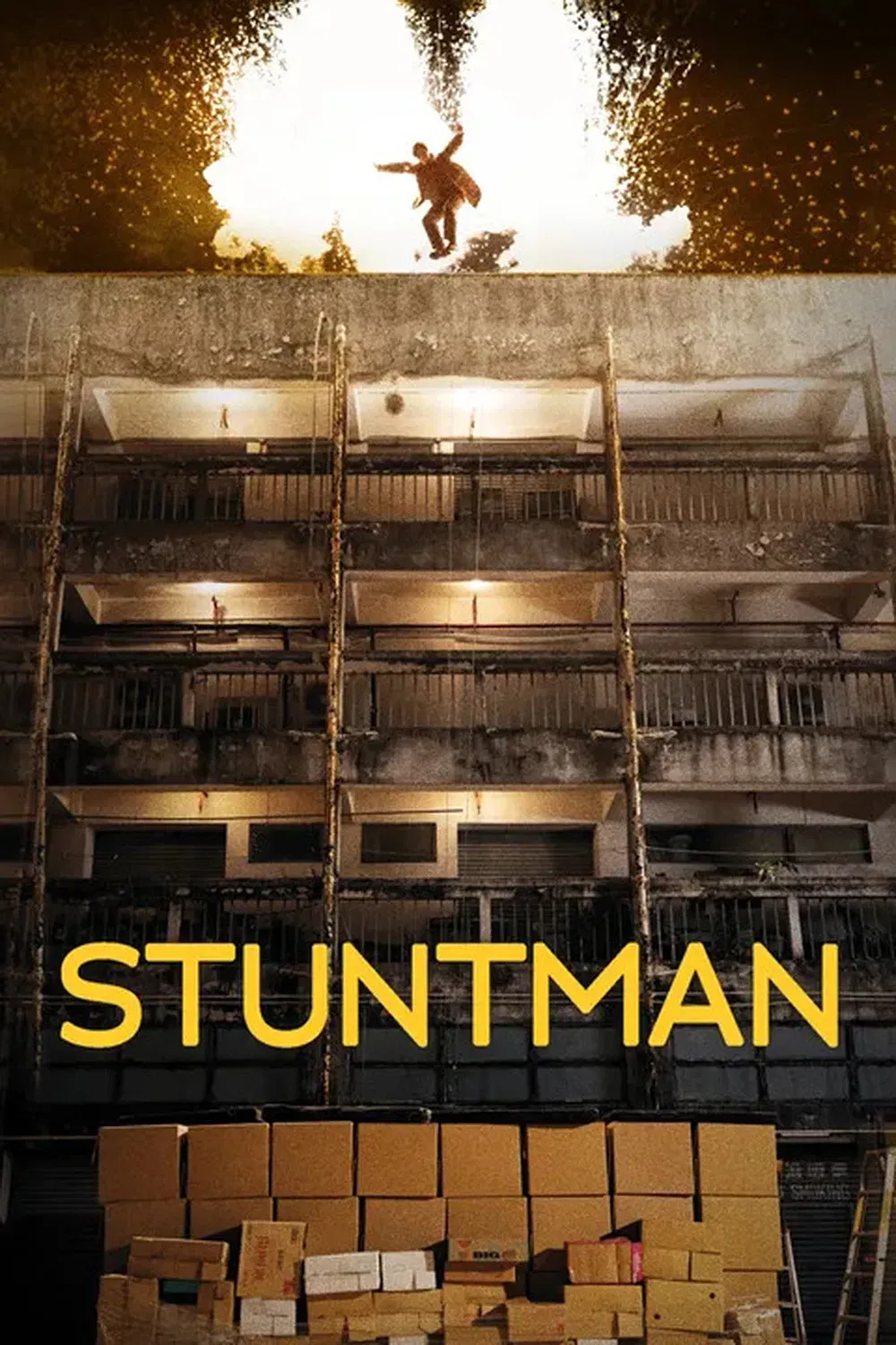 Poster of the movie Stuntman