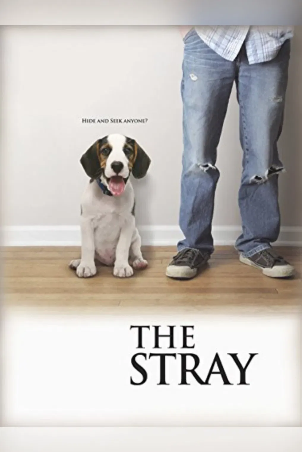 Poster of the movie The Stray