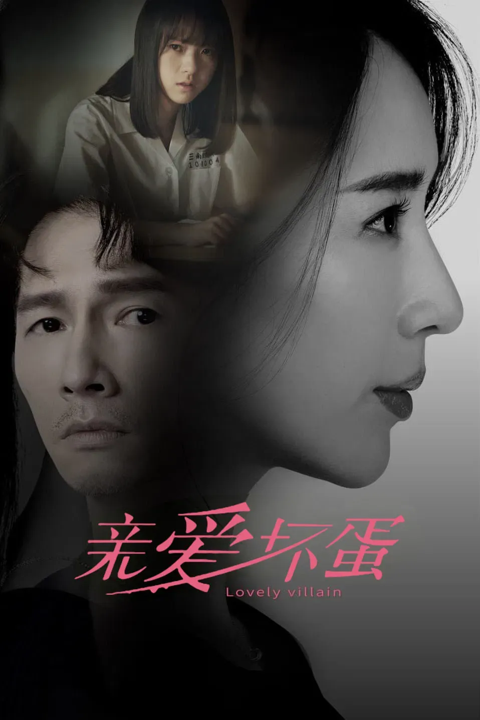 Poster of Lovely Villain