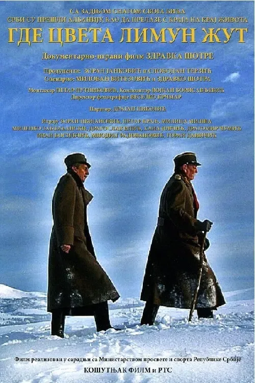 Poster of the movie Where the Yellow Lemon Blooms