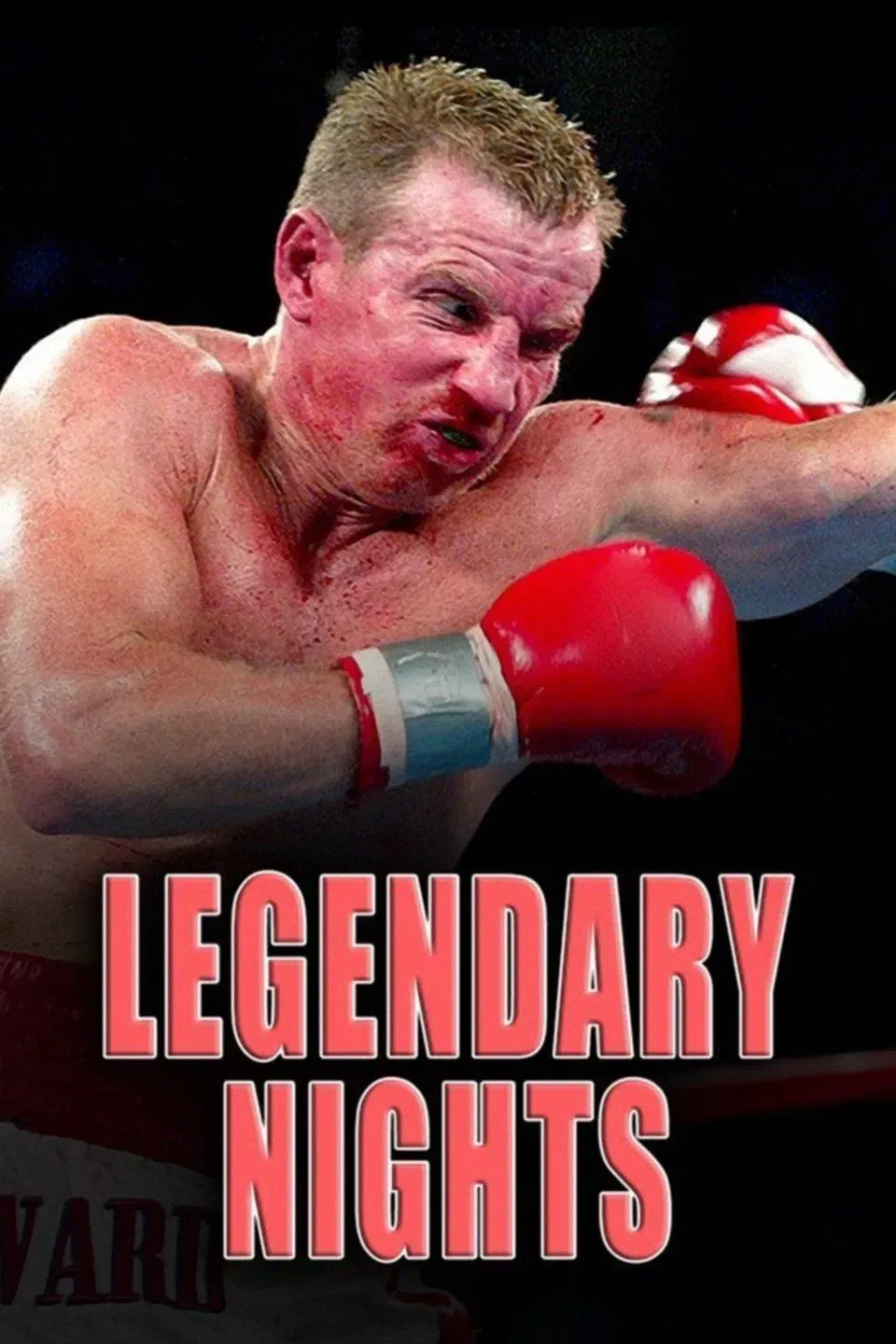 Poster of Legendary Nights