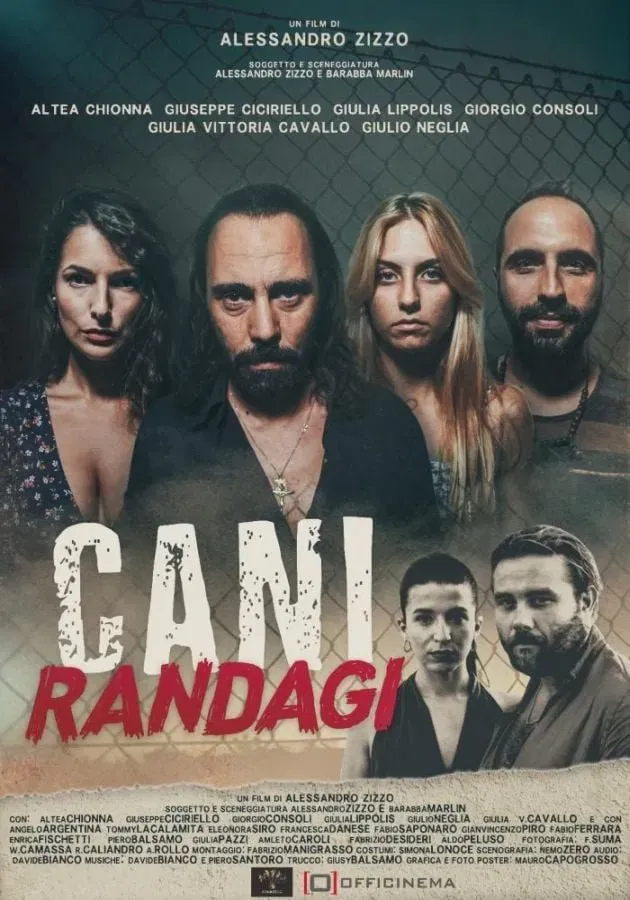 Poster of the movie Cani randagi
