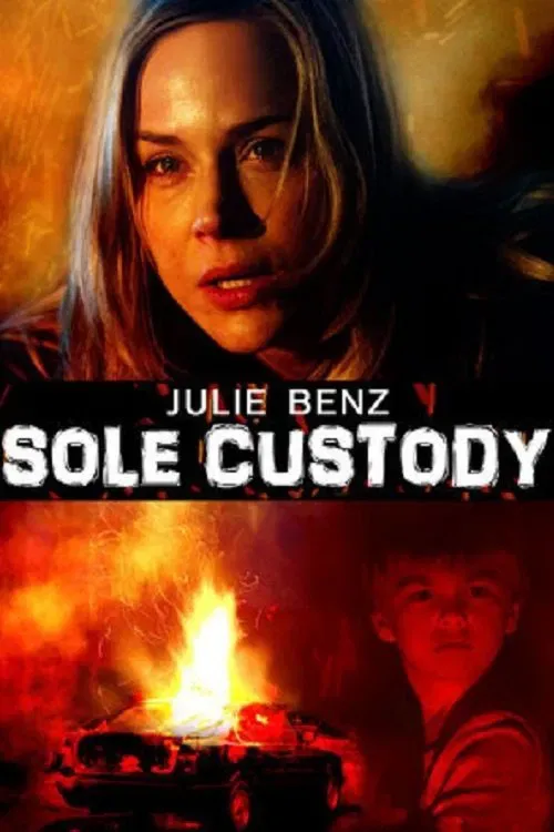 Poster of the movie Sole Custody