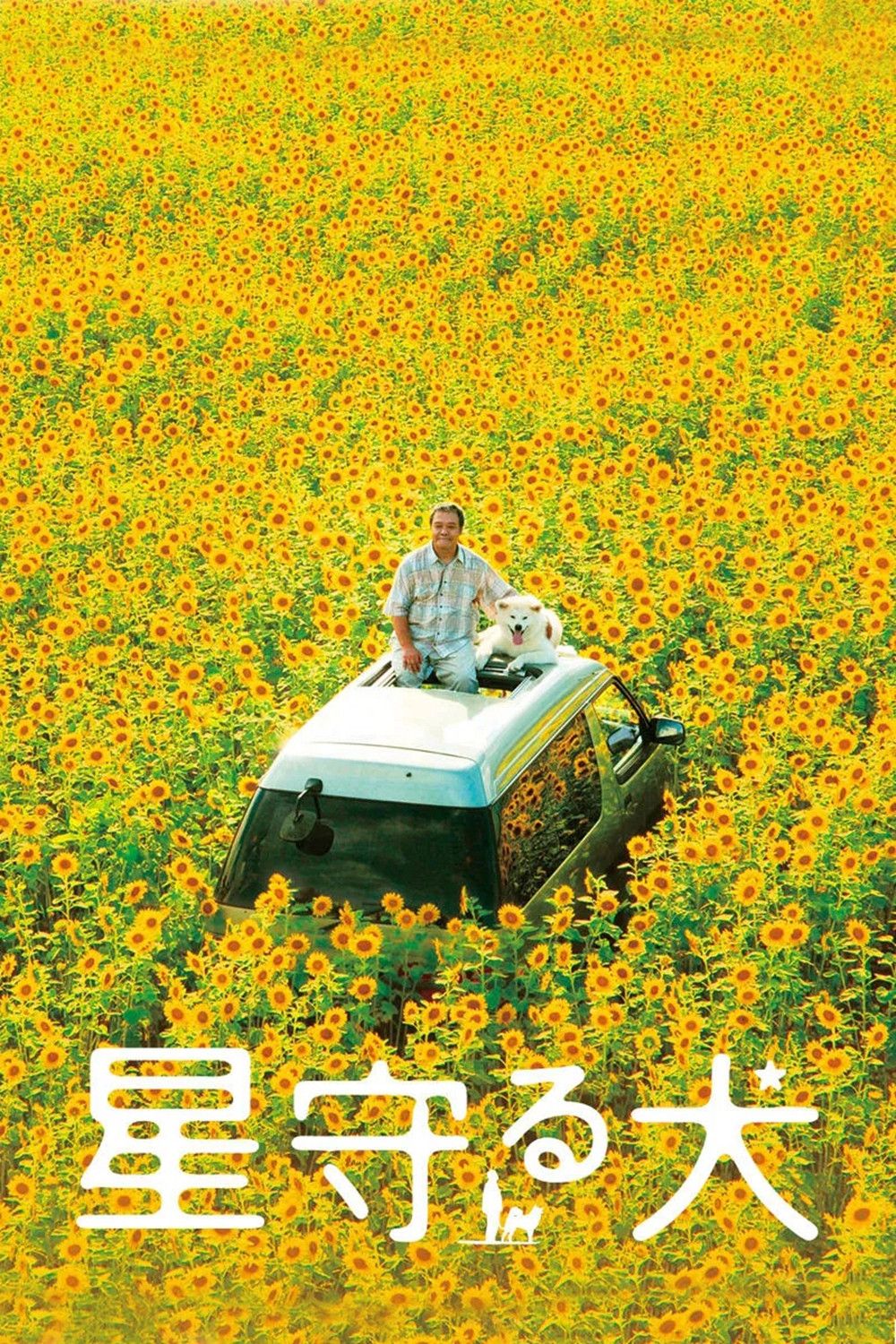 Poster of the movie Star Watching Dog