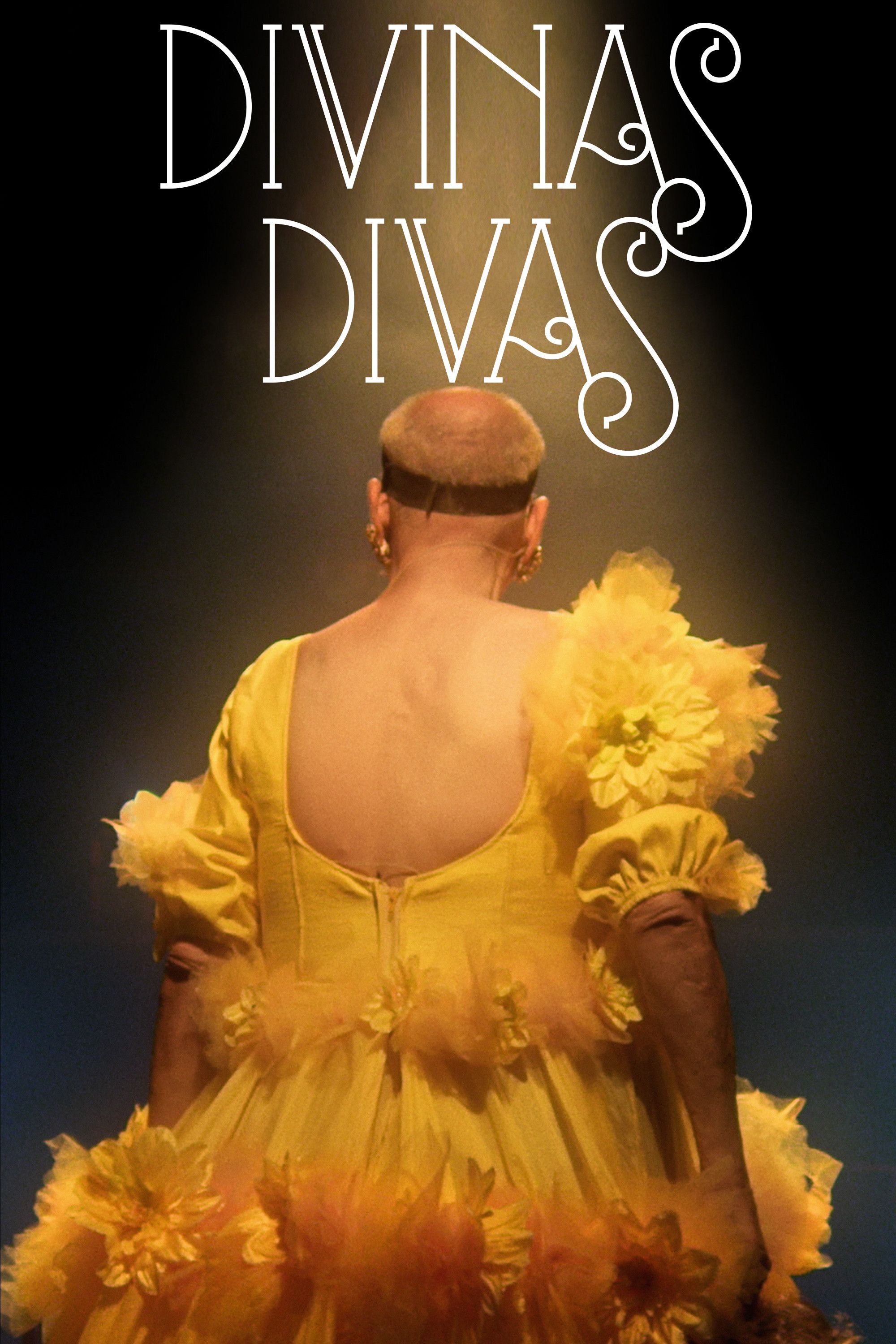 Poster of the movie Divine Divas
