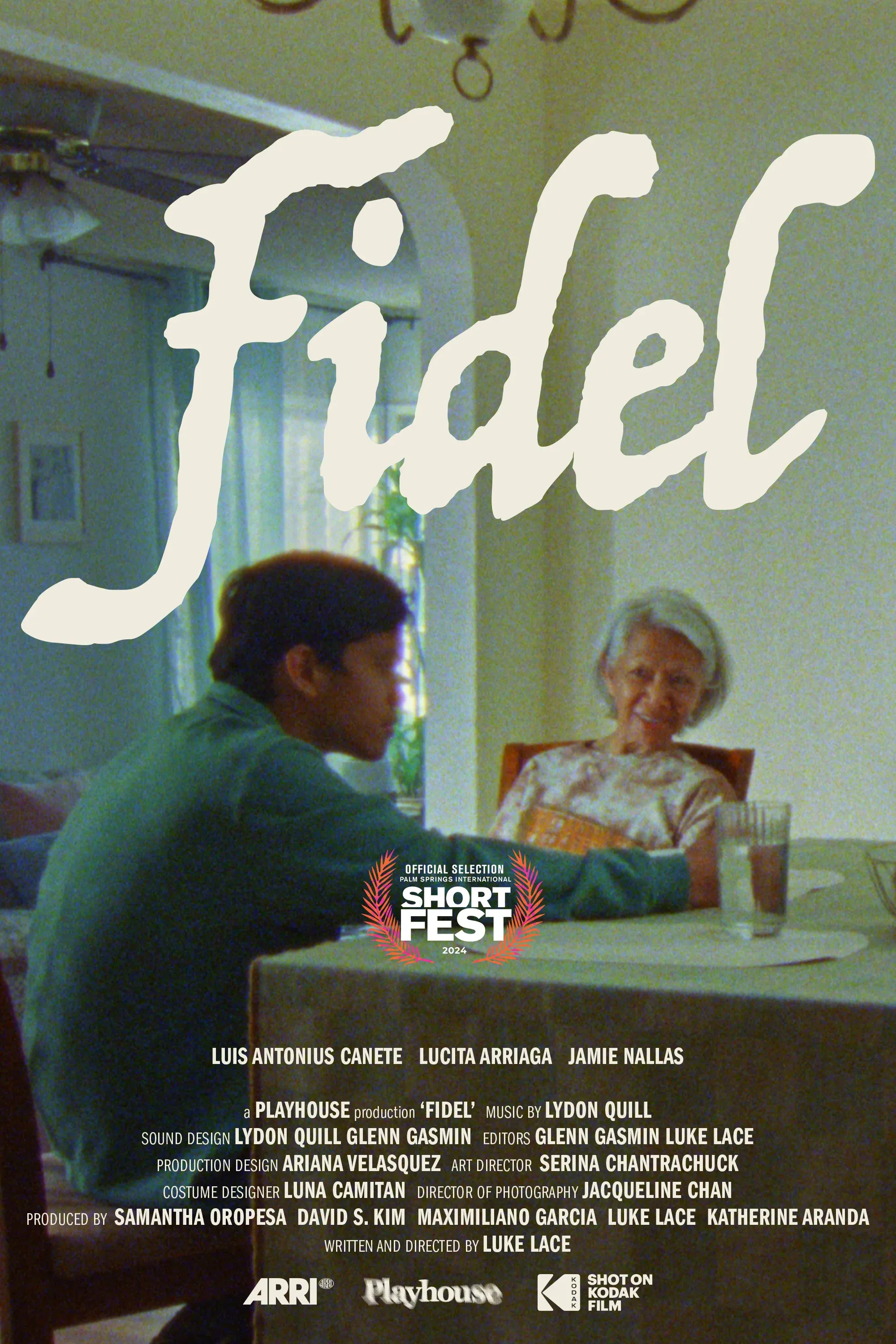 Poster for Fidel