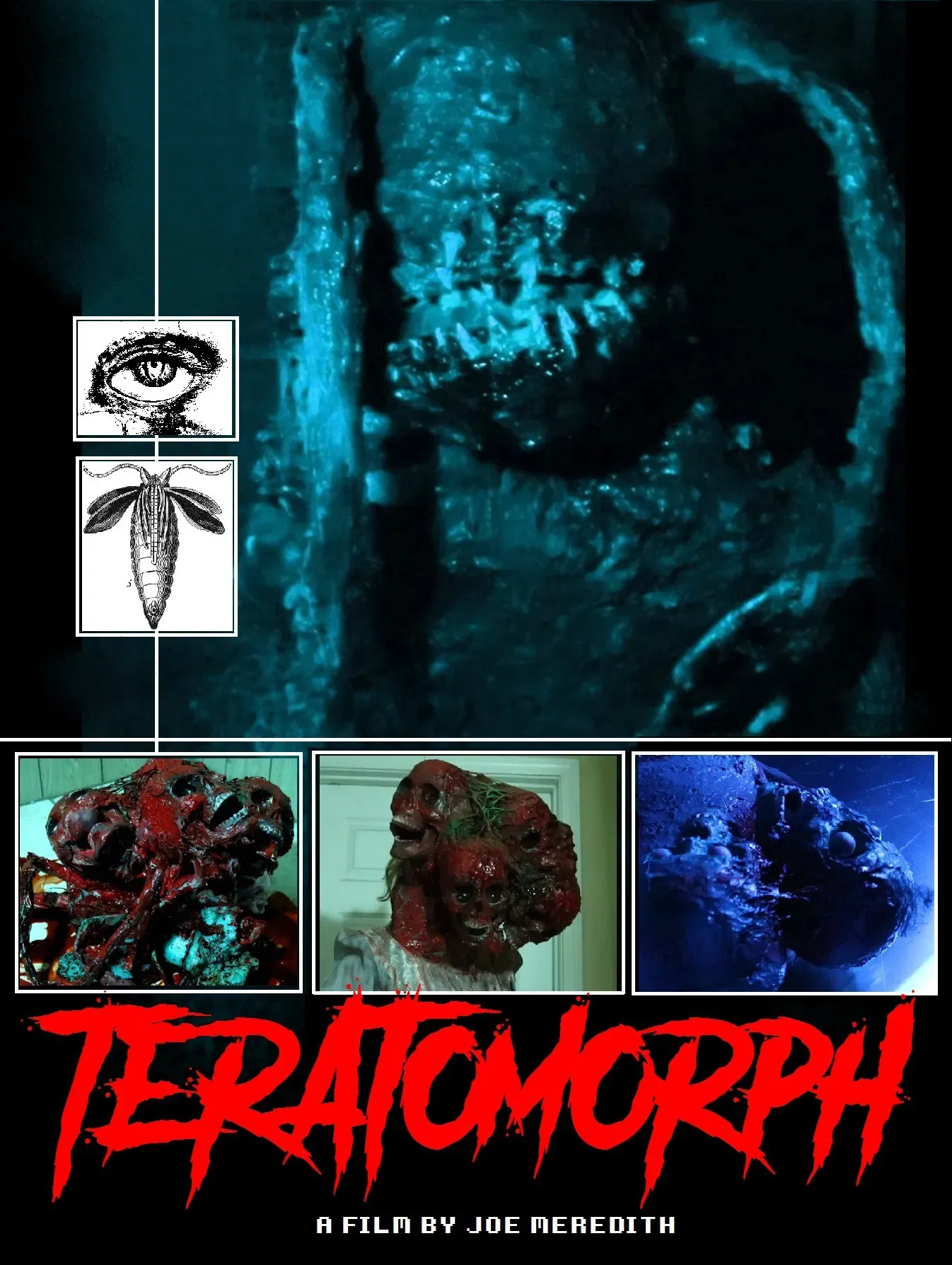 Poster of the movie Teratomorph