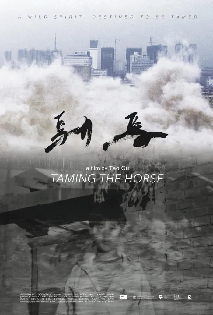 Poster of the movie Taming the Horse