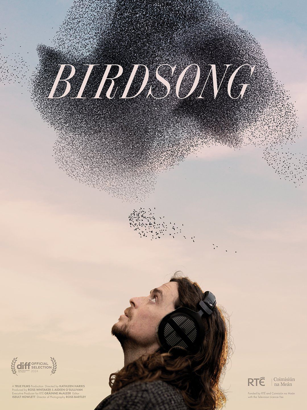 Poster of the movie Birdsong