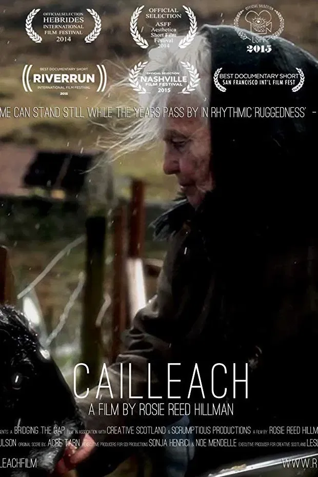 Poster of the movie Cailleach