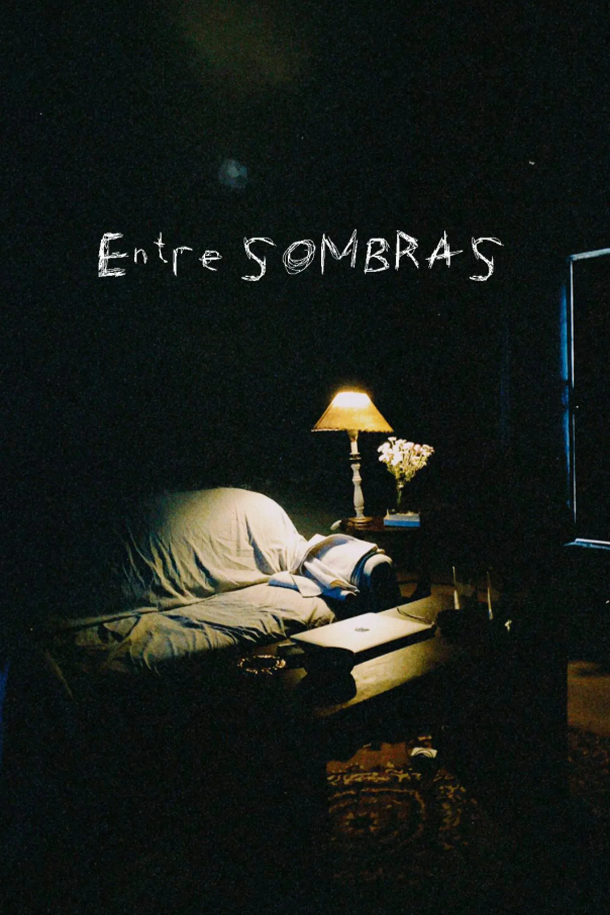 Poster for Entre sombras