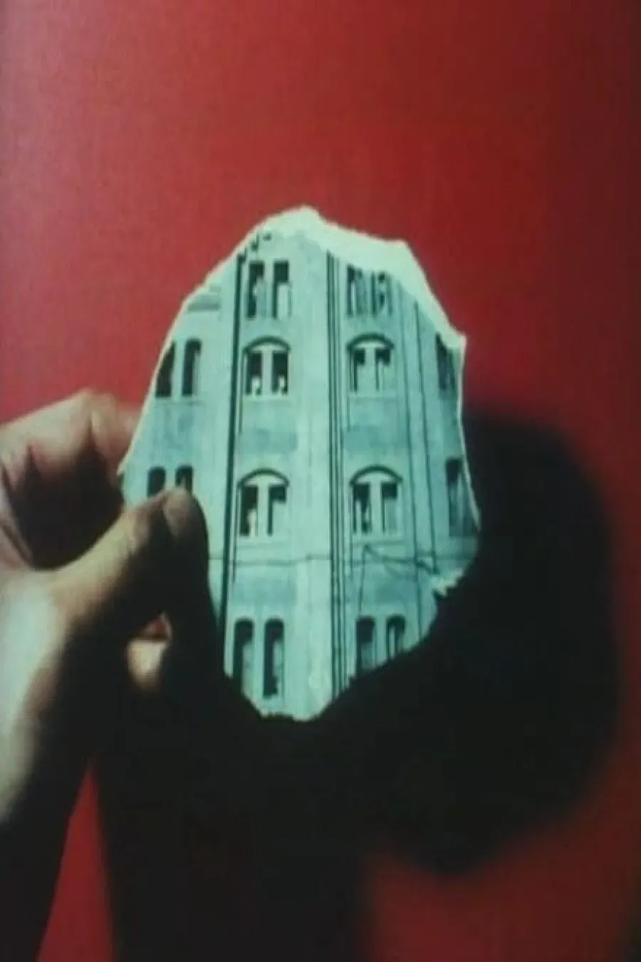 Poster of the movie Wall