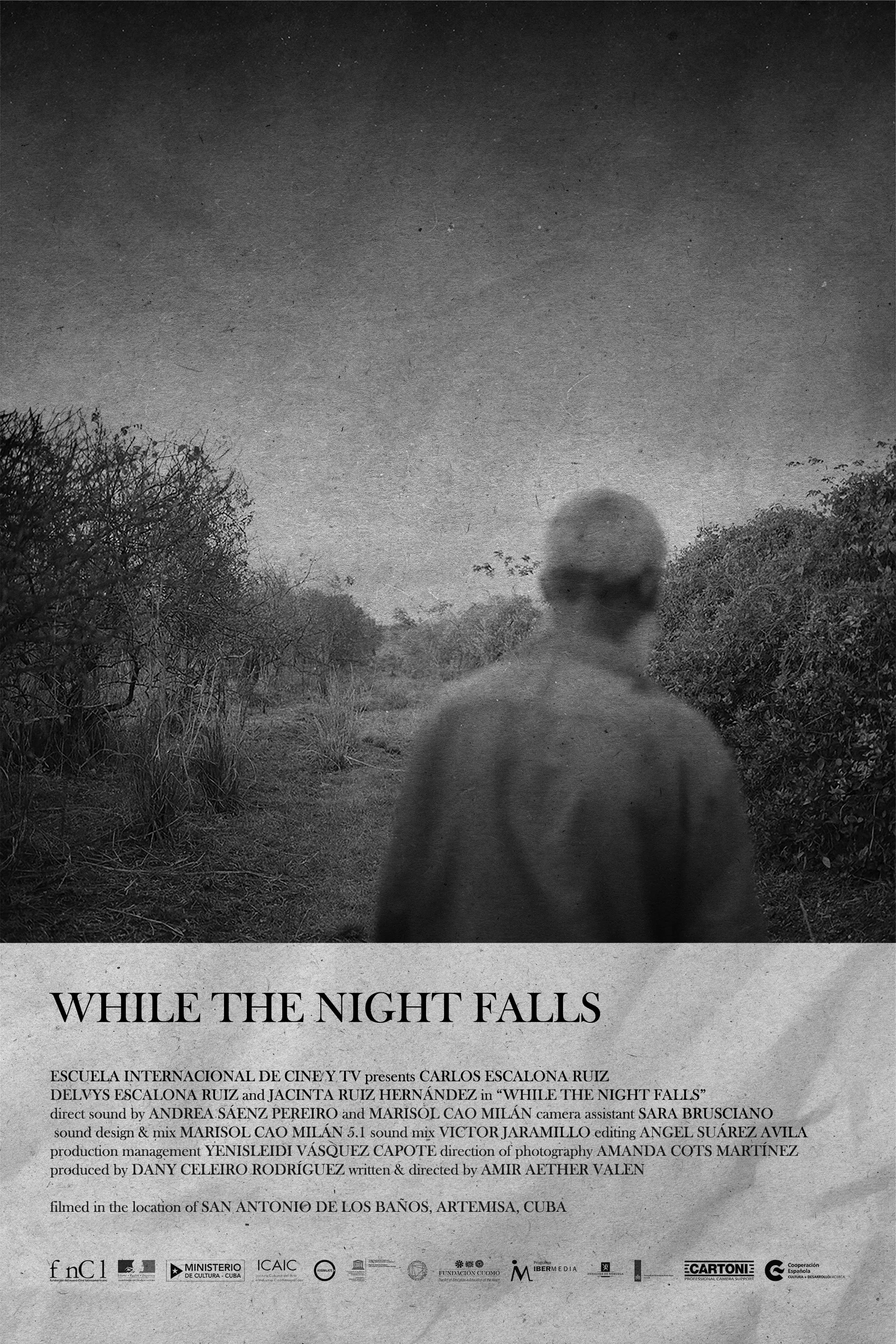 Poster for While The Night Falls