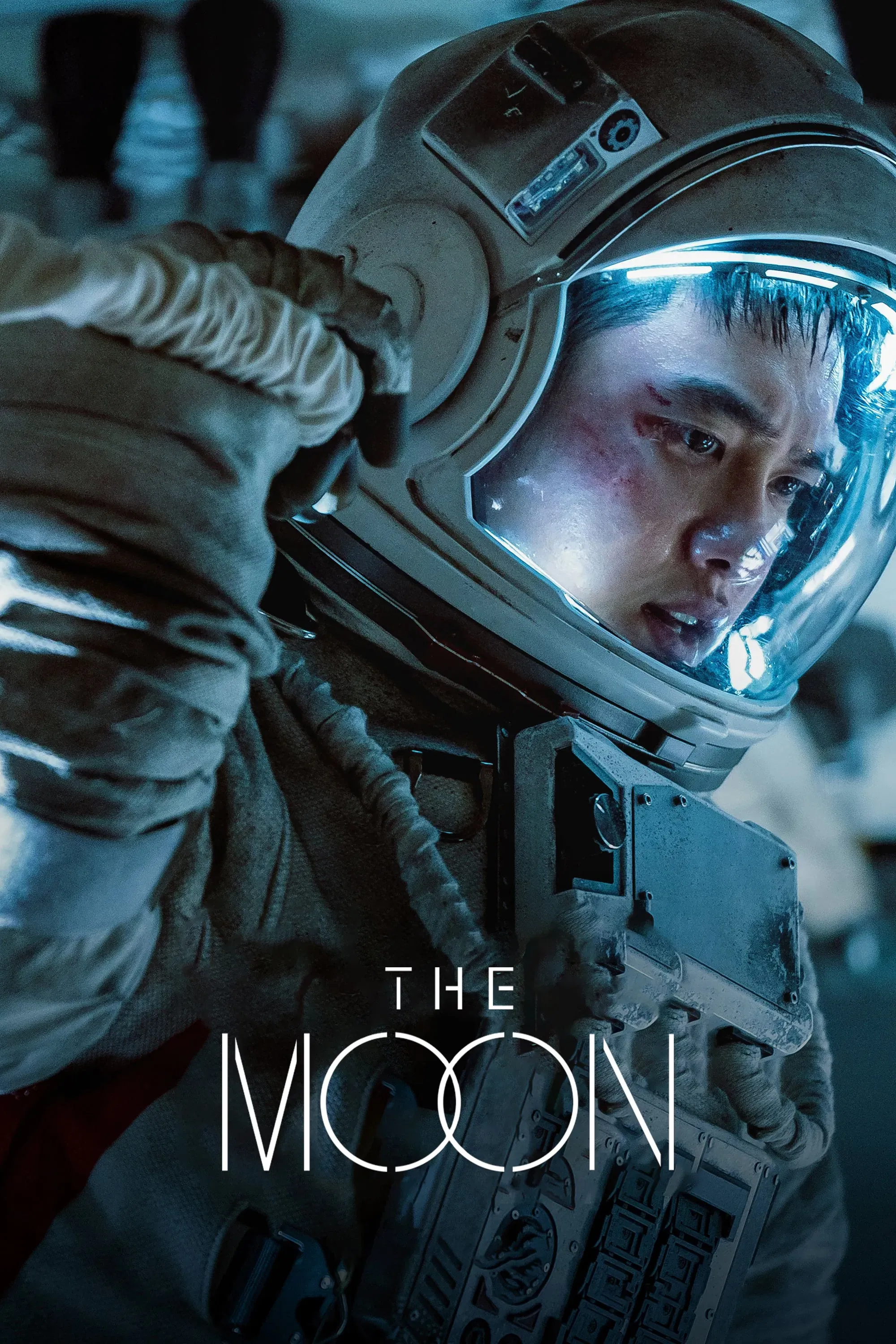 Poster of the movie The Moon