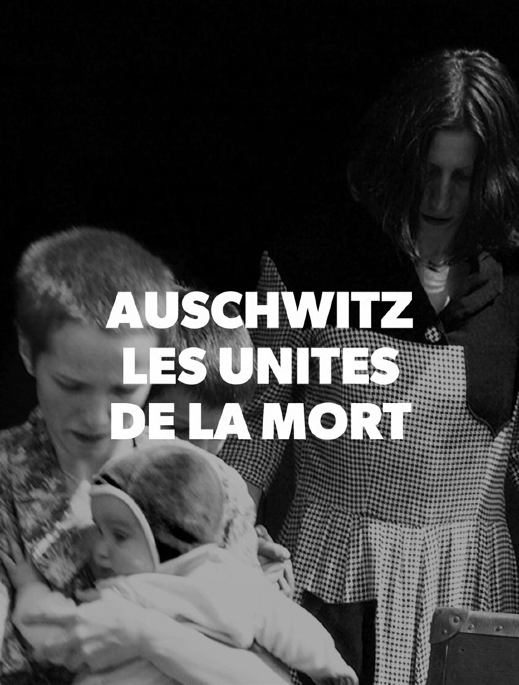Poster of the movie Auschwitz, les unités de la mort