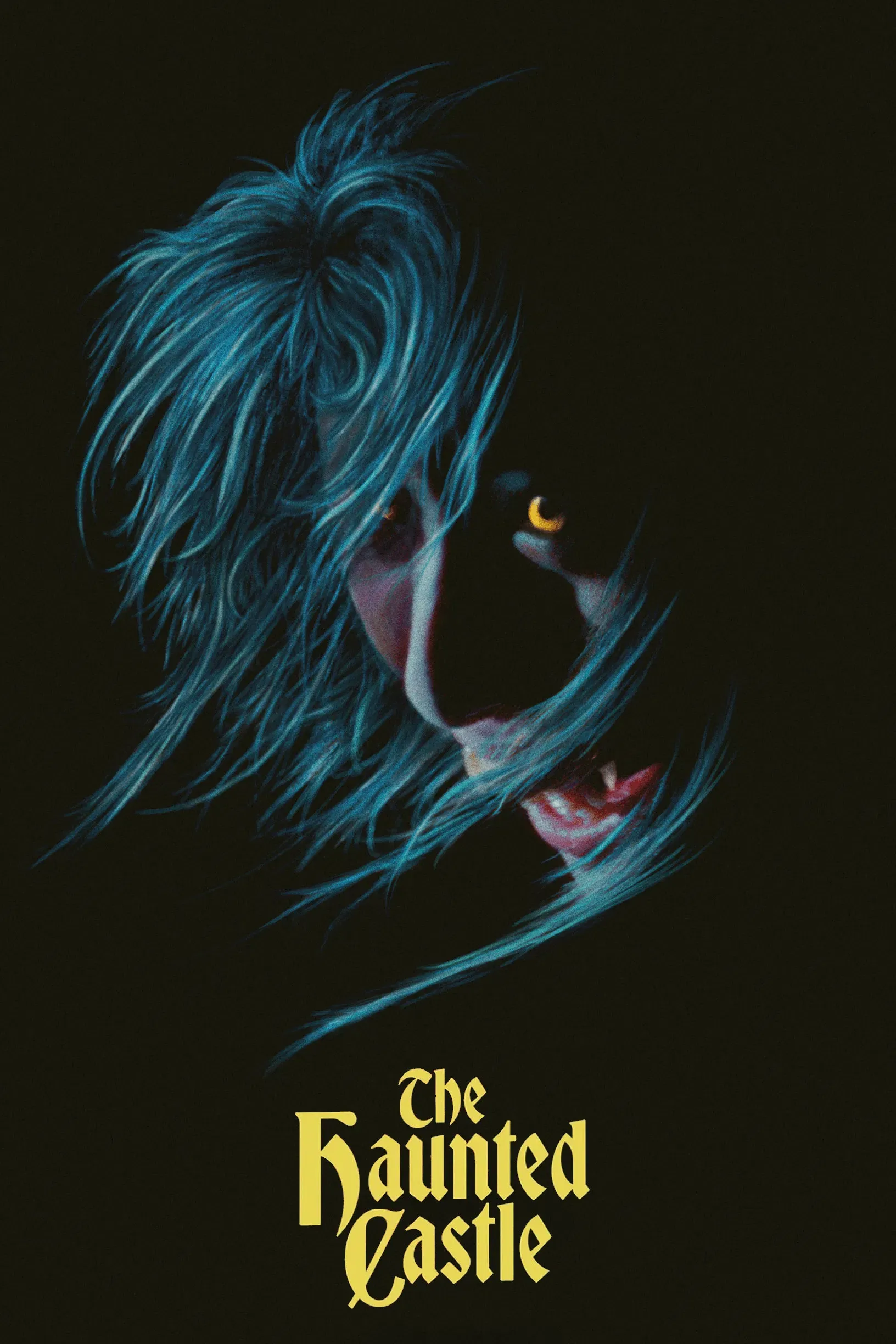 Poster of the movie Haunted Castle