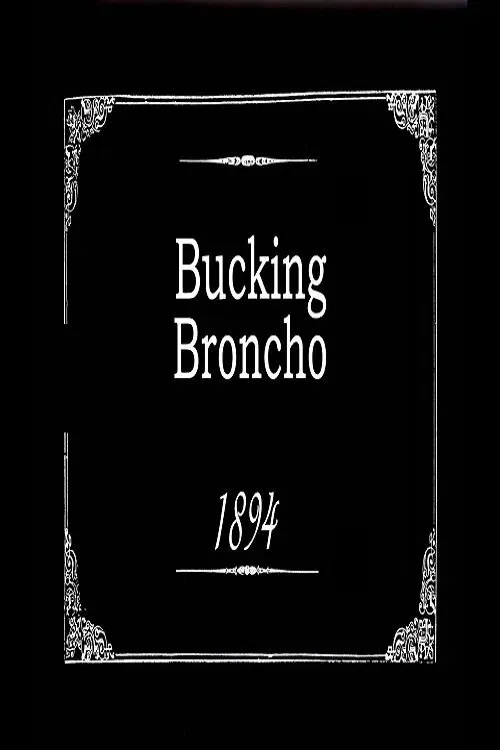 Poster of the movie Bucking Broncho