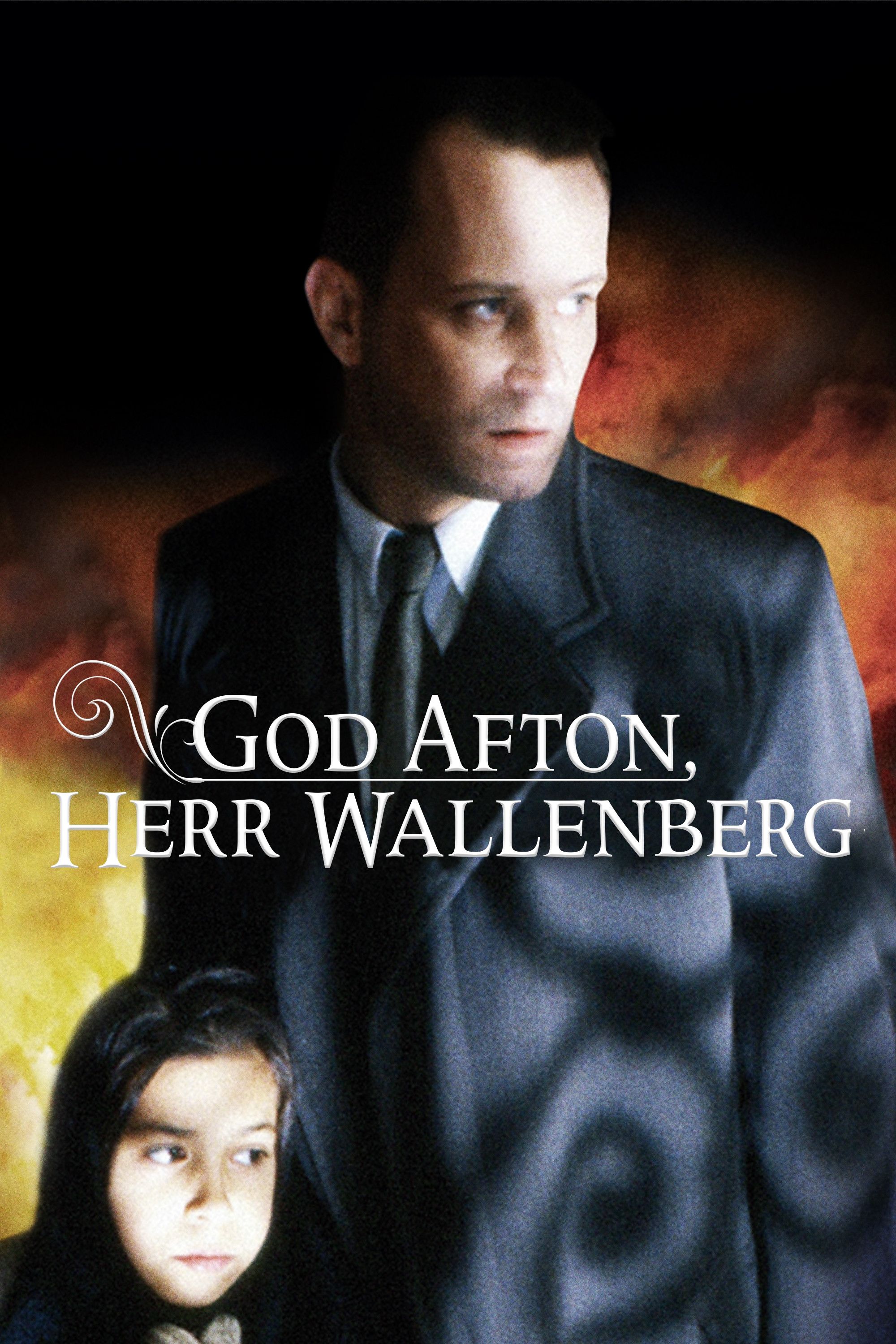 Poster of the movie Good Evening, Mr. Wallenberg