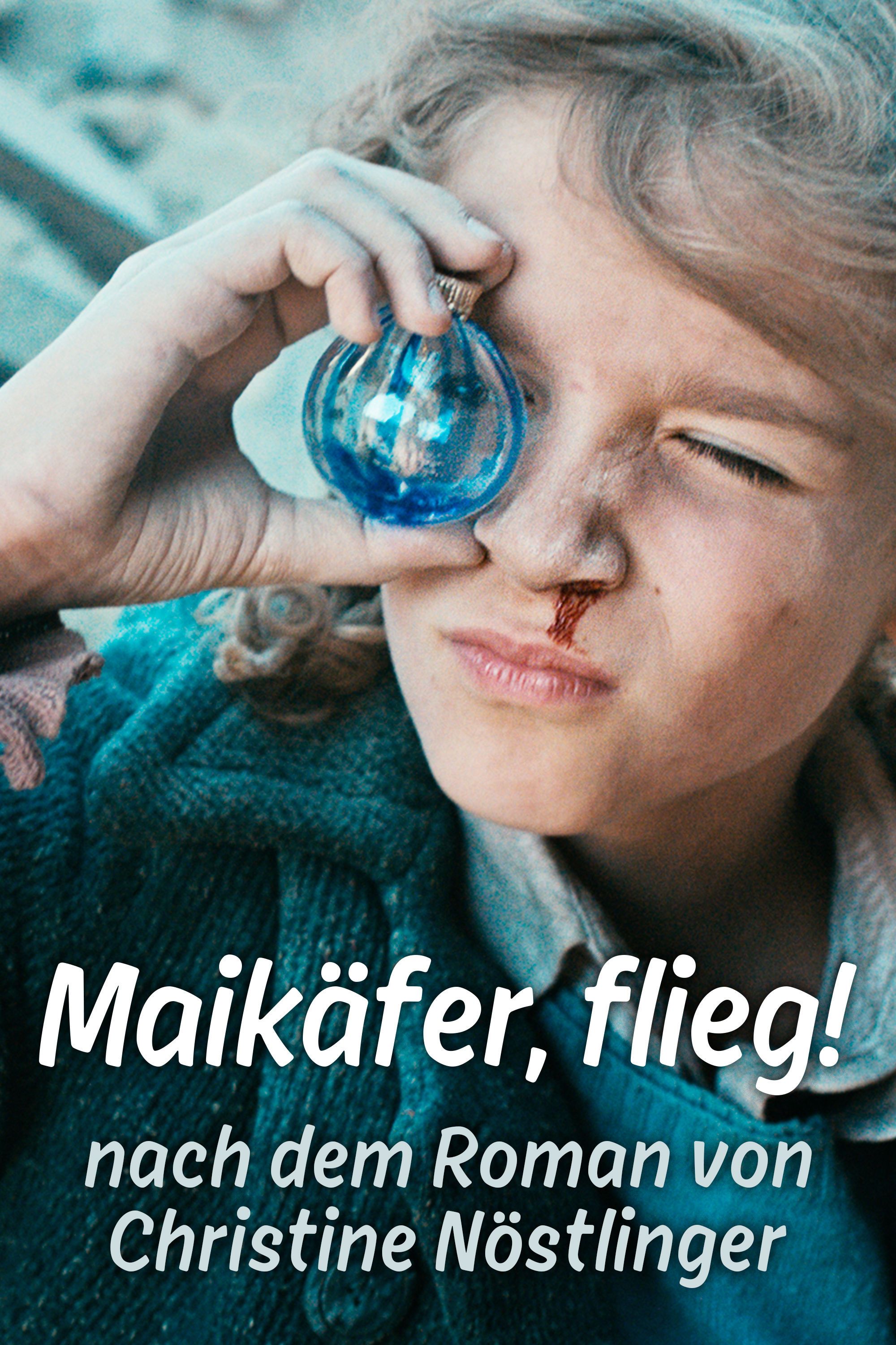 Poster of the movie Maikäfer flieg