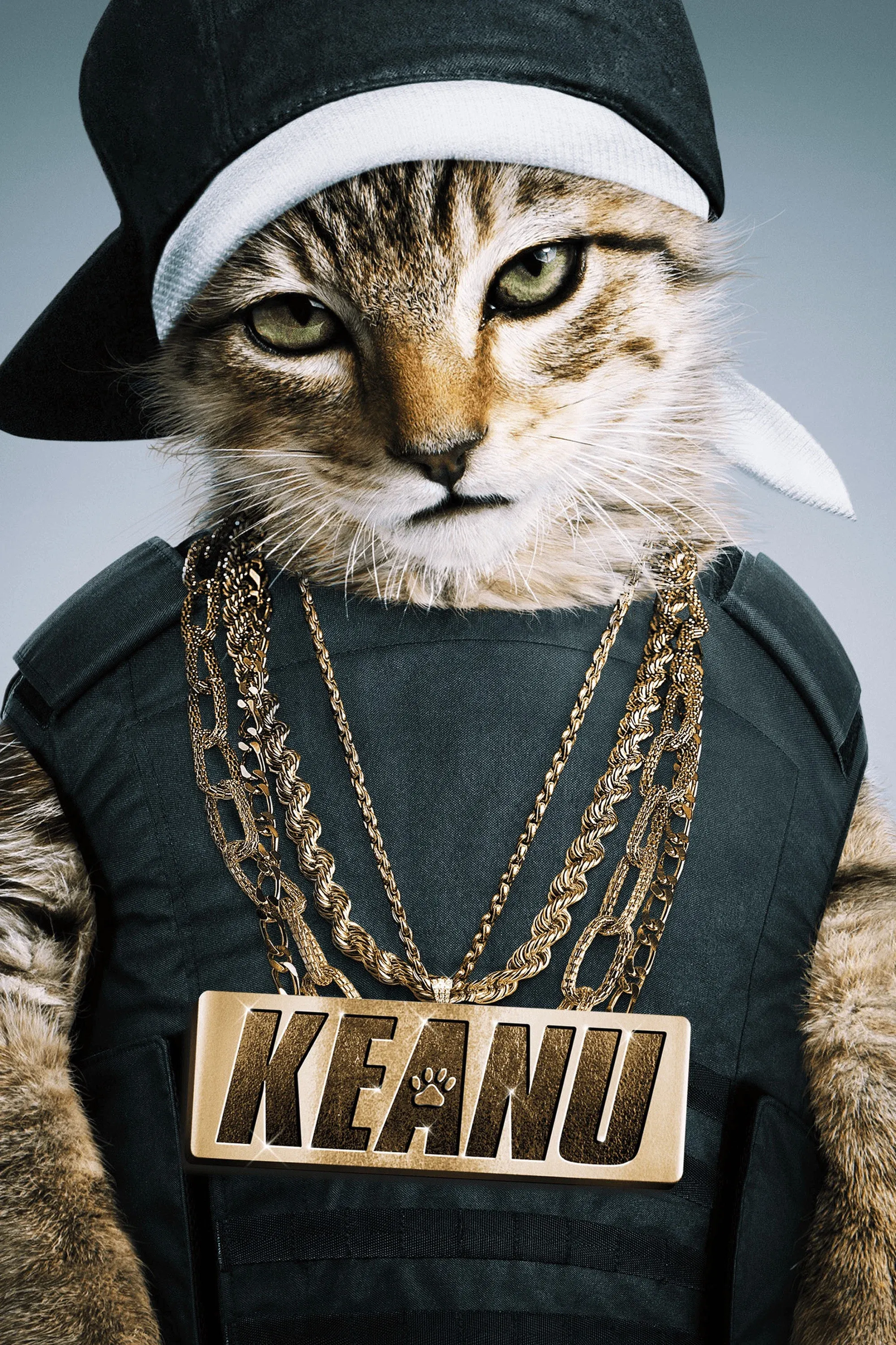 Poster of the movie Keanu