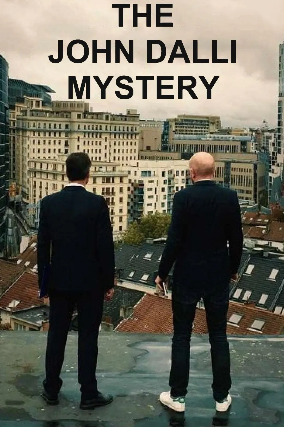 Poster of the movie The John Dalli Mystery