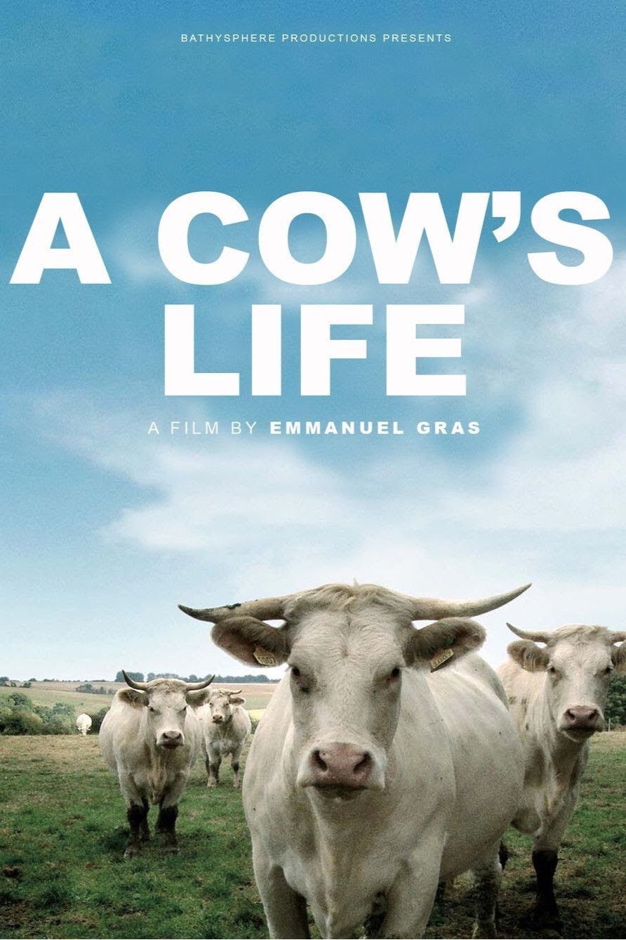 Poster of the movie Bovines