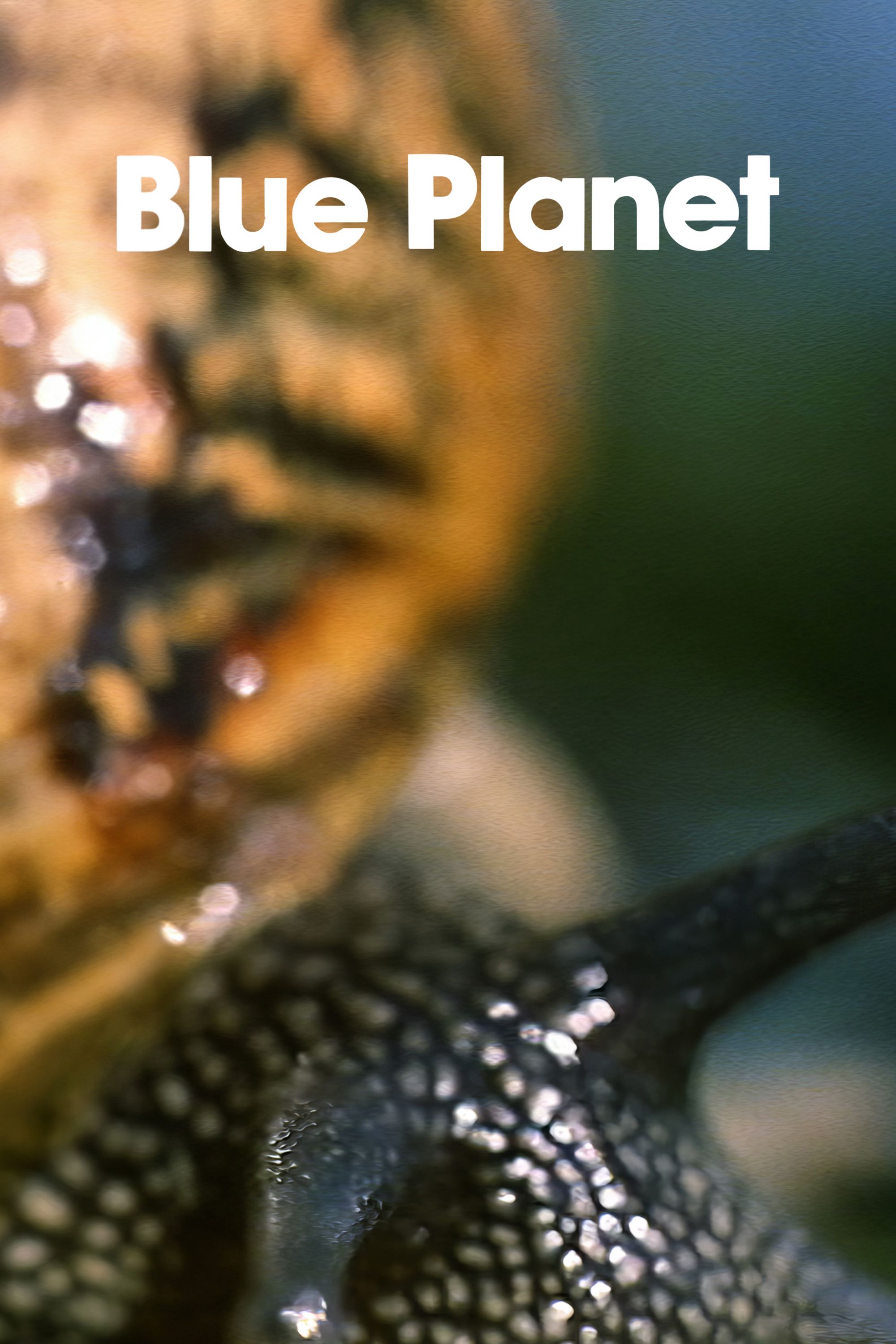 Poster of the movie The Blue Planet