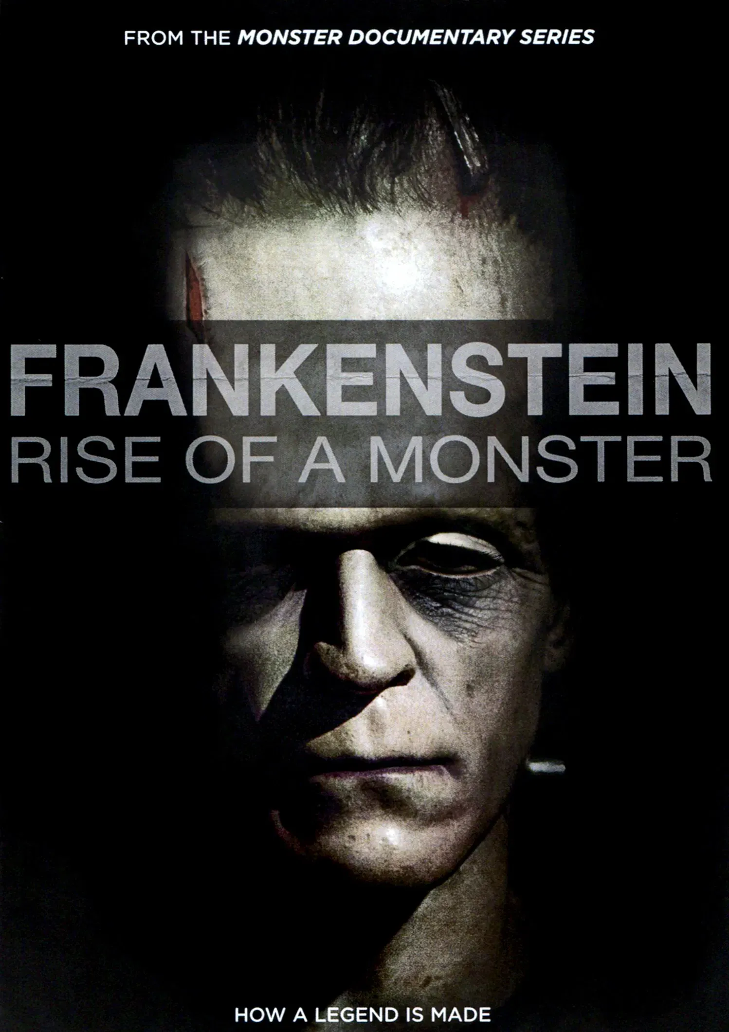 Poster of the movie Frankenstein: Rise of a Monster