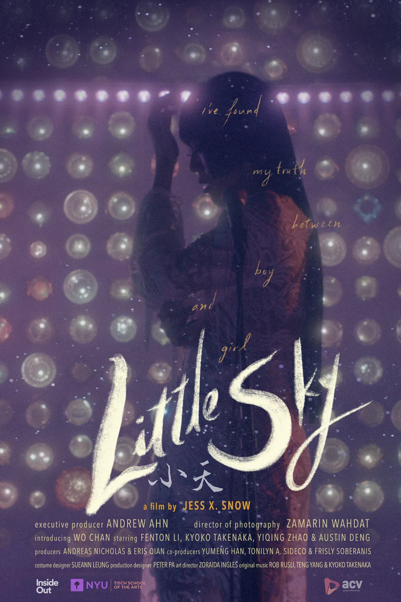 Poster for Little Sky