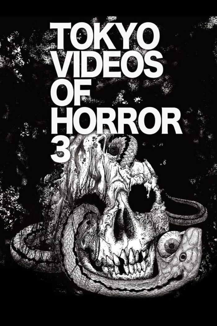 Poster of the movie Tokyo Videos of Horror 3