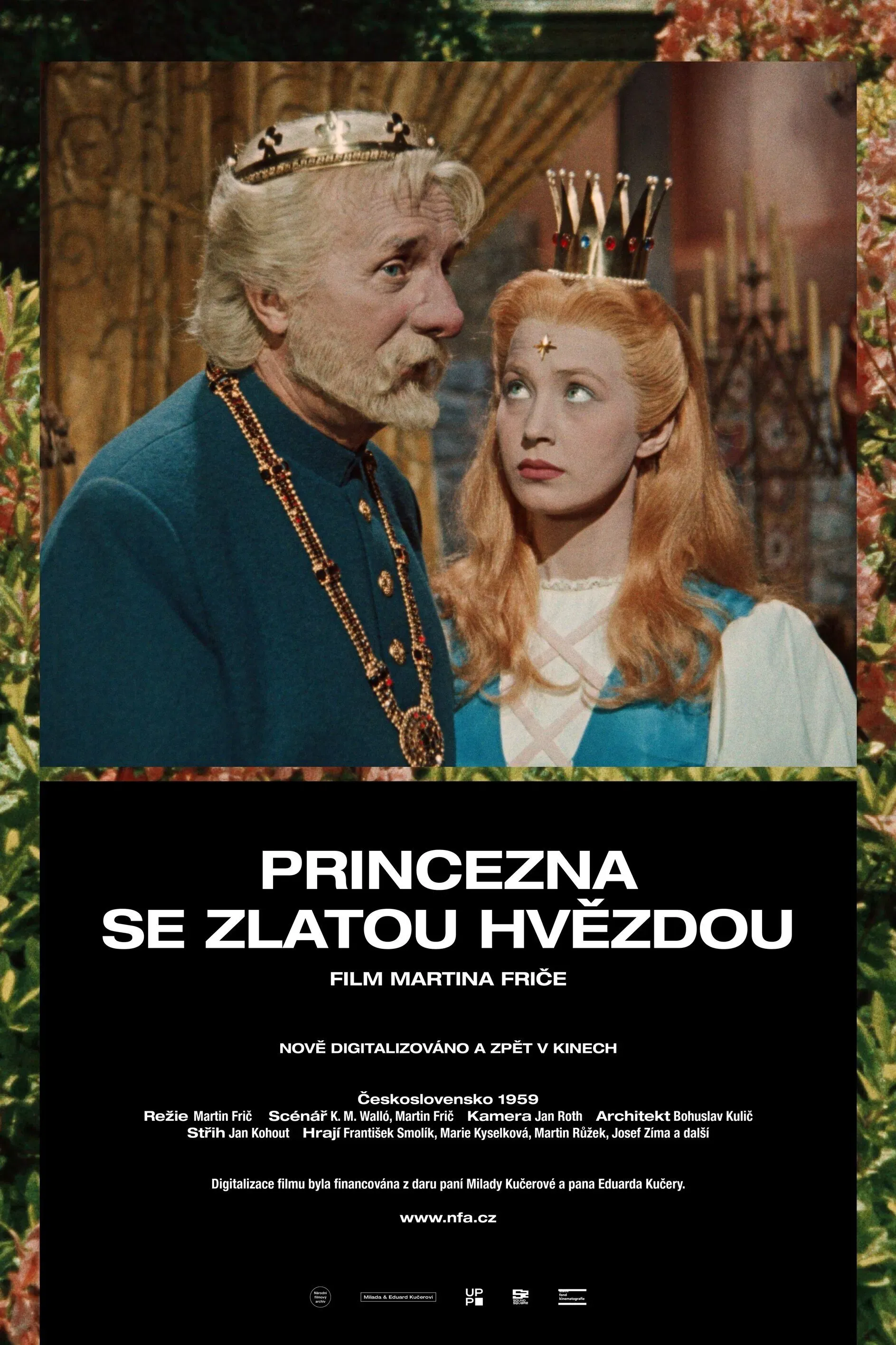 Poster of the movie The Princess with the Golden Star