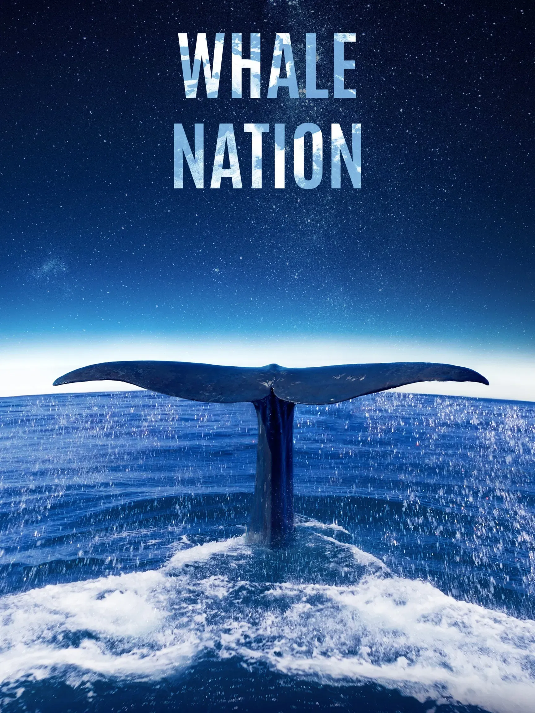 Poster of the movie Whale Nation