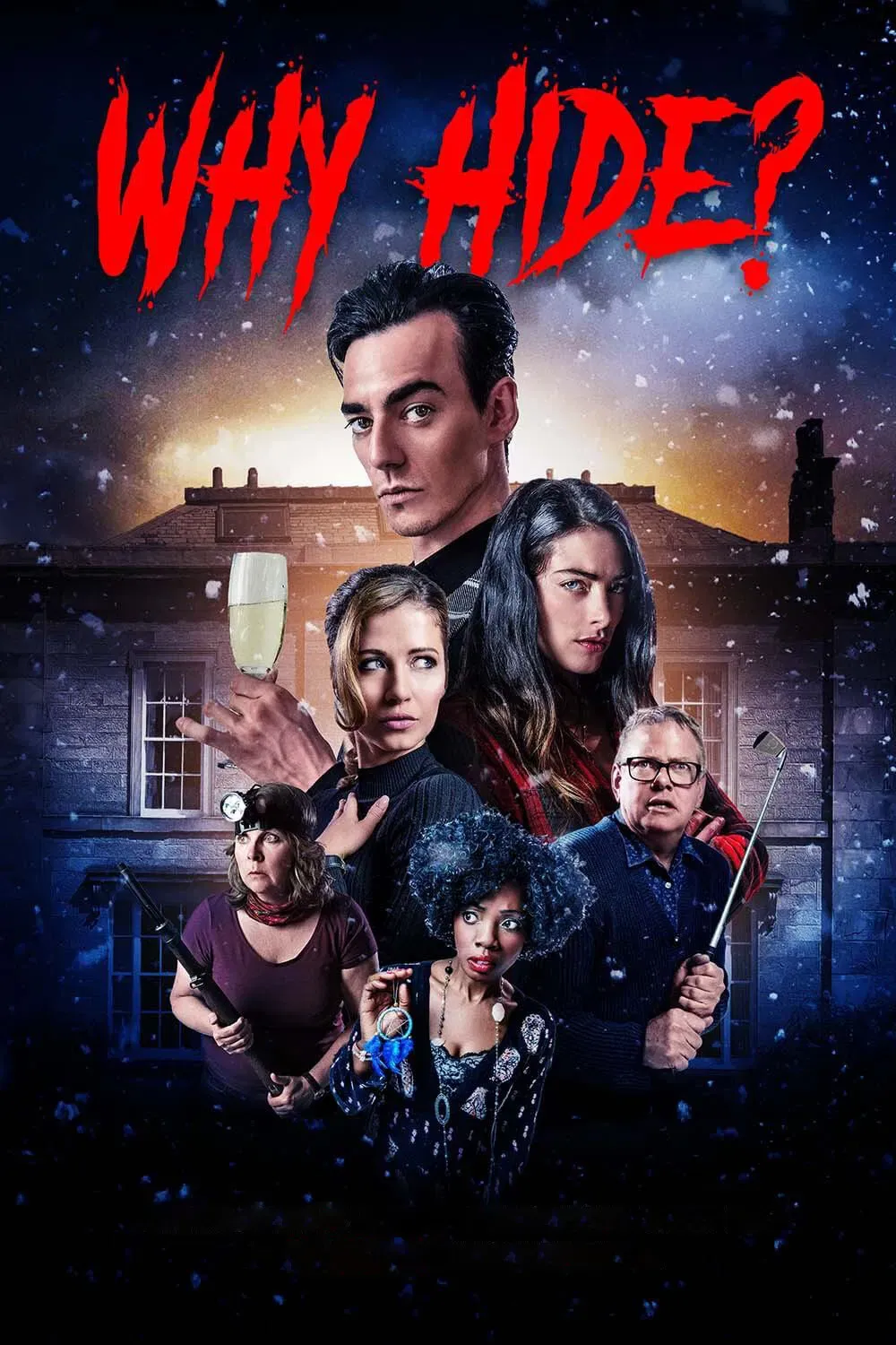 Poster of the movie Why Hide?