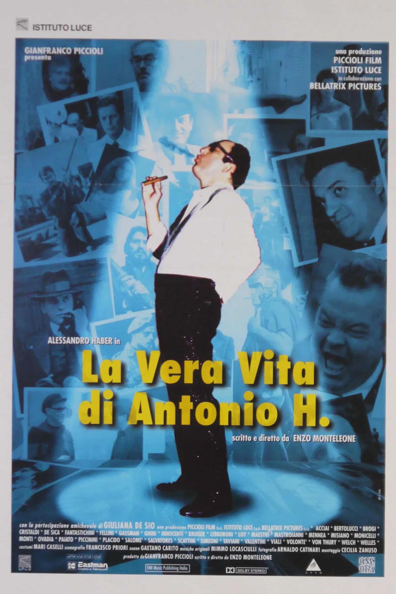 Poster of the movie The True Life of Antonio H.