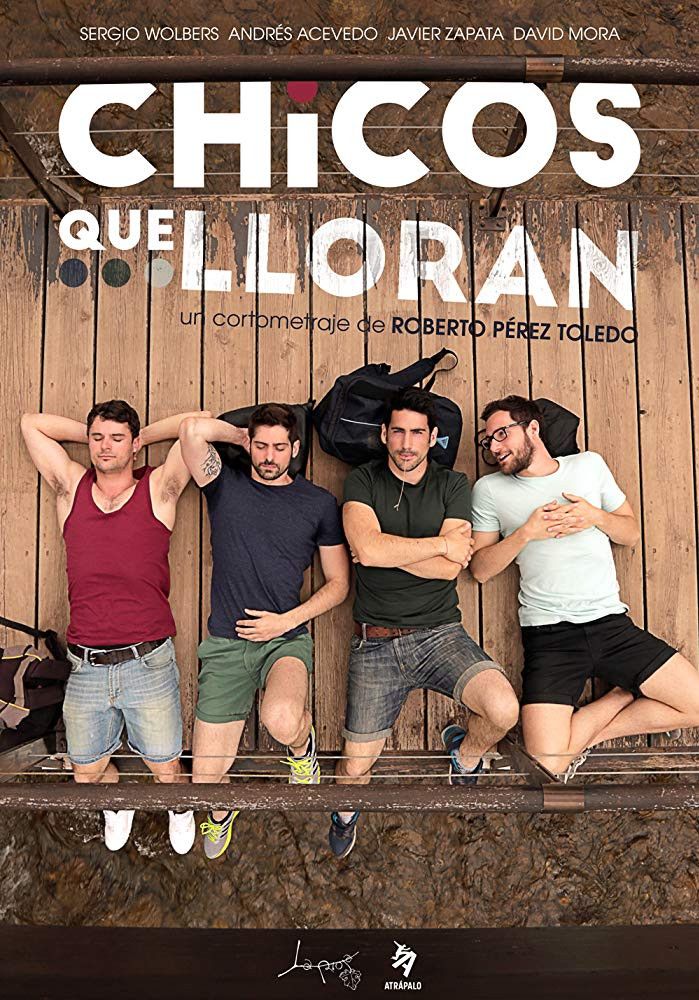 Poster of the movie Chicos que lloran