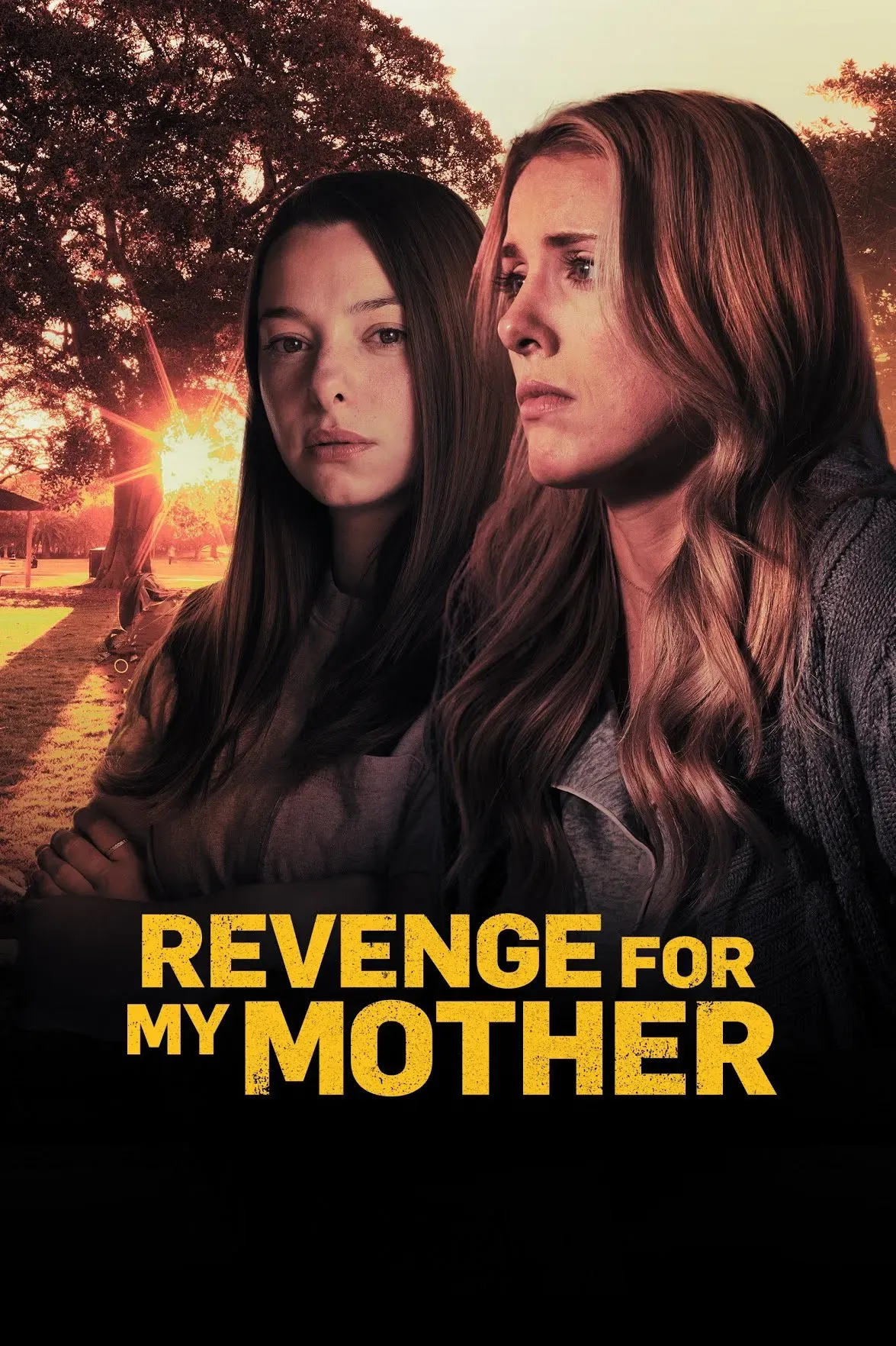 Poster of the movie Revenge for My Mother