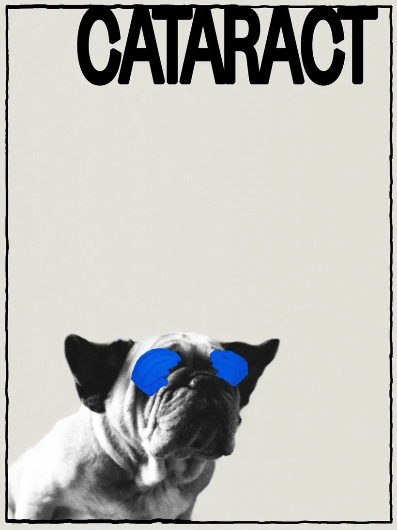 Poster of the movie Cataract