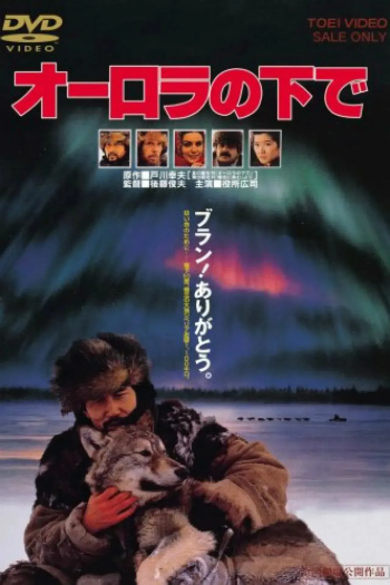 Poster of the movie Aurora Borealis