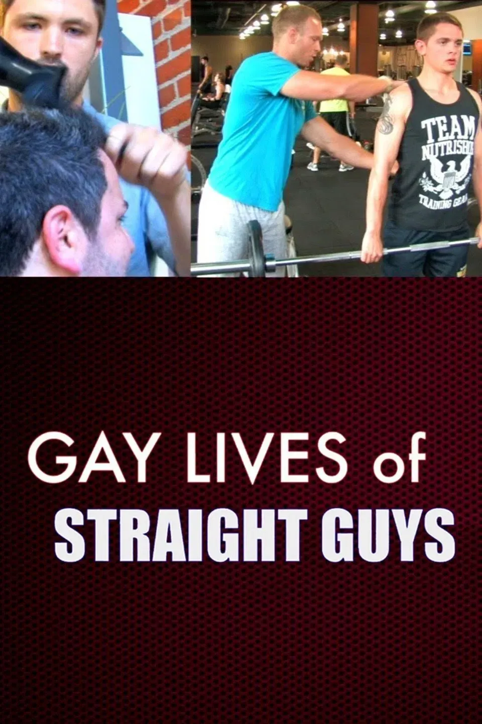 Poster of the movie Gay Lives of Straight Guys