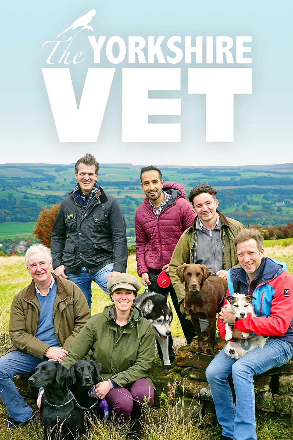 Poster of The Yorkshire Vet