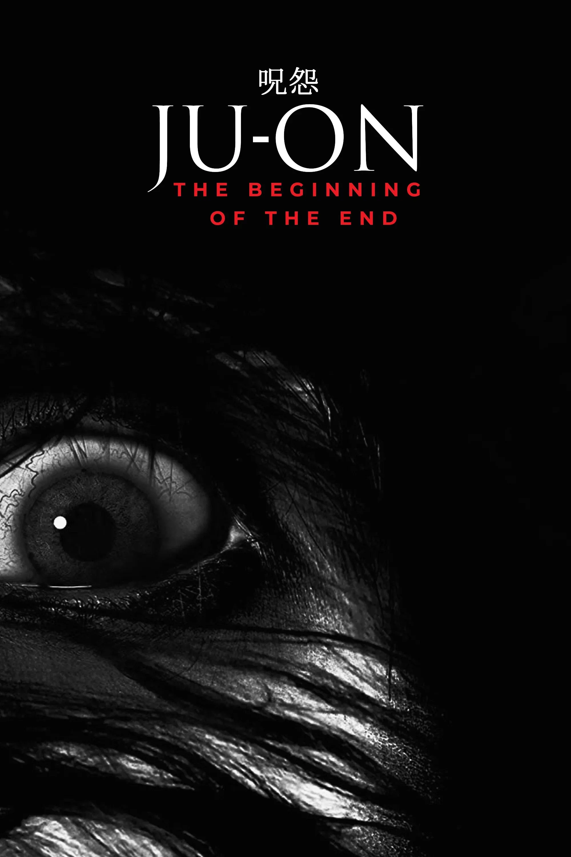 Poster of the movie Ju-on: The Beginning of the End