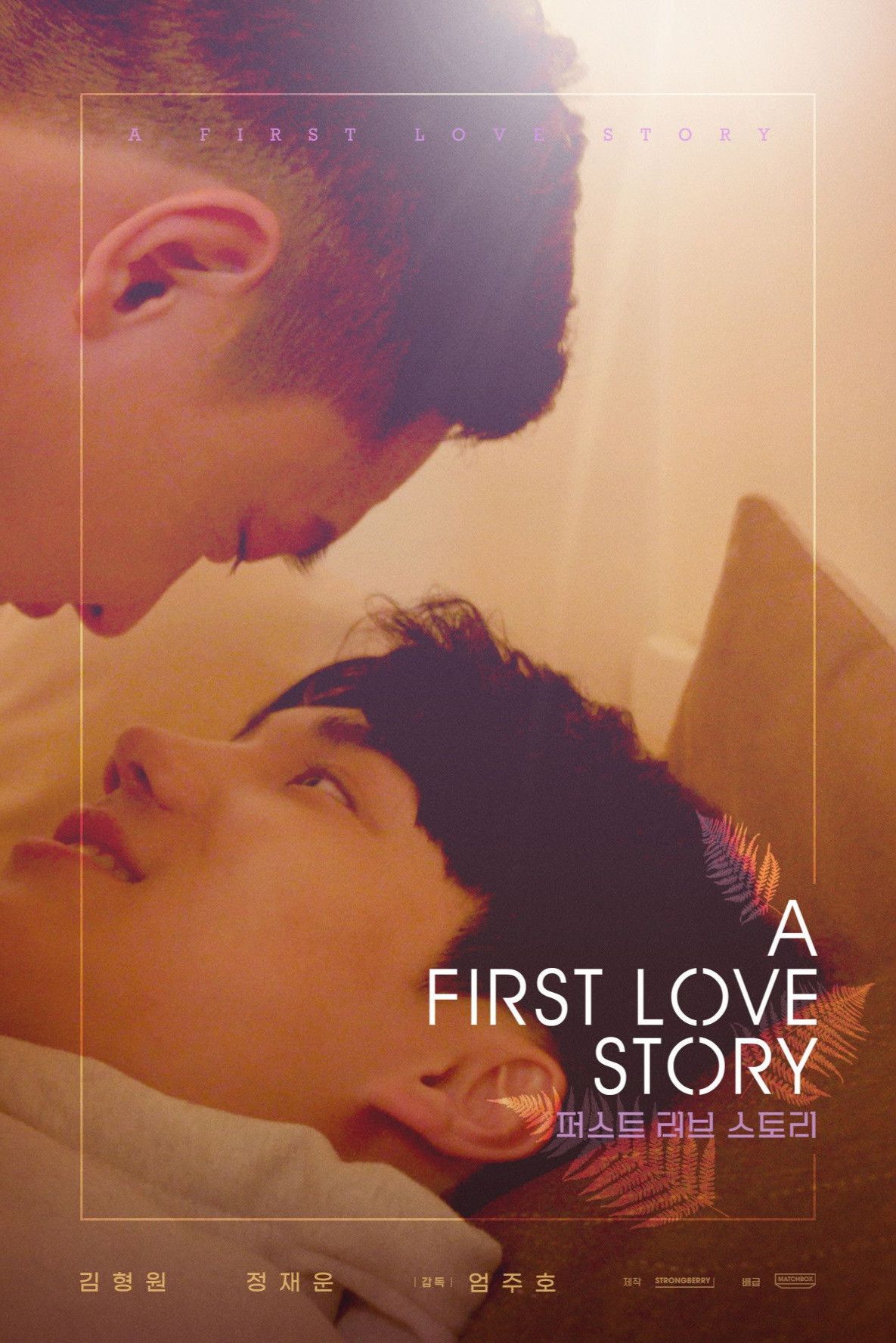 Poster of A First Love Story