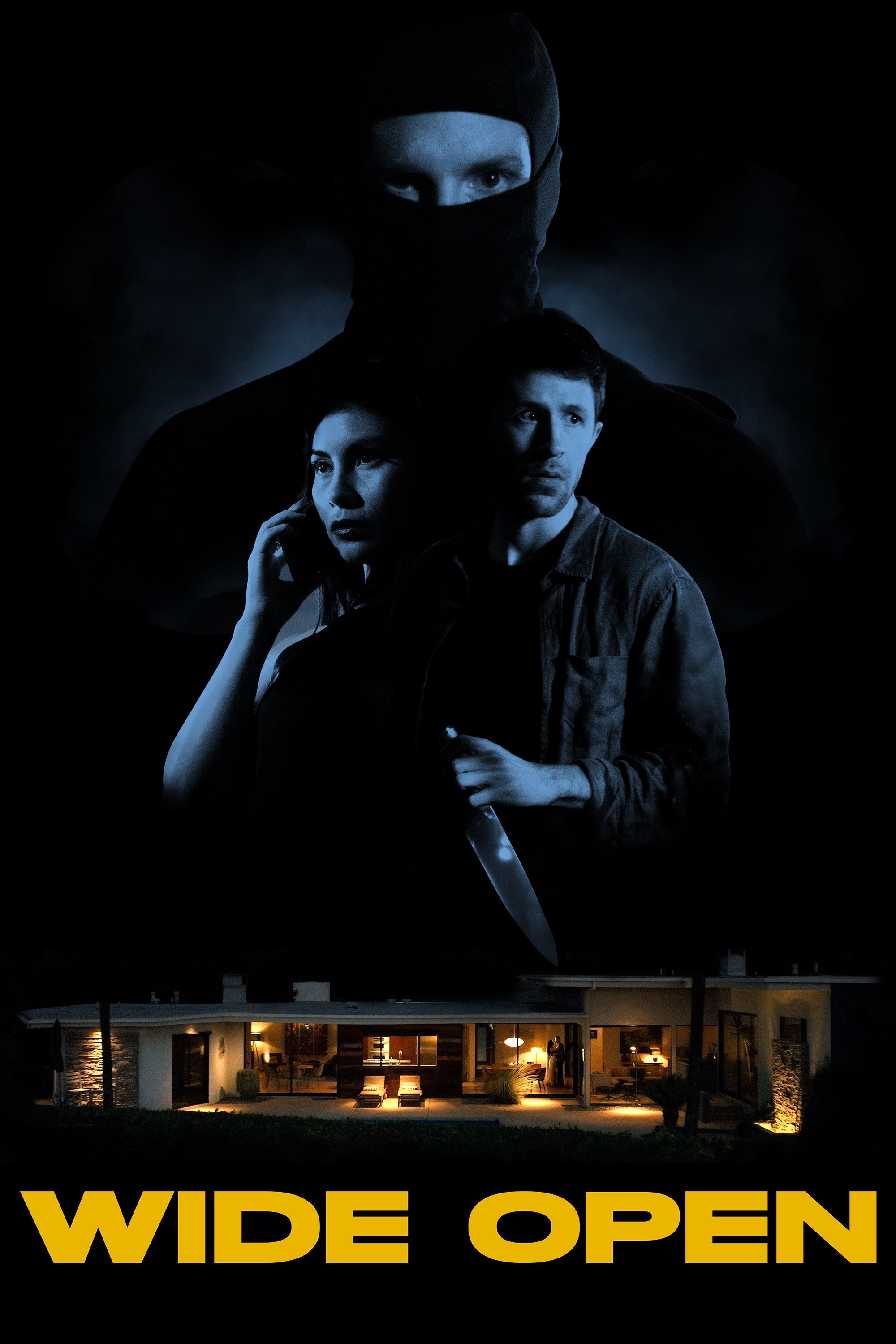 Poster of the movie Wide Open