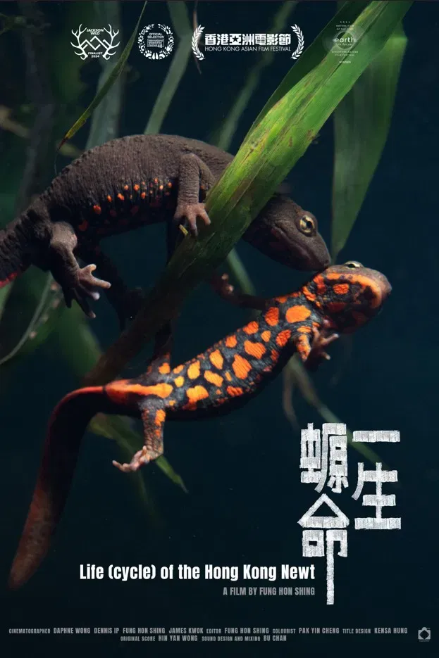 Poster of the movie Life (cycle) of the Hong Kong Newt