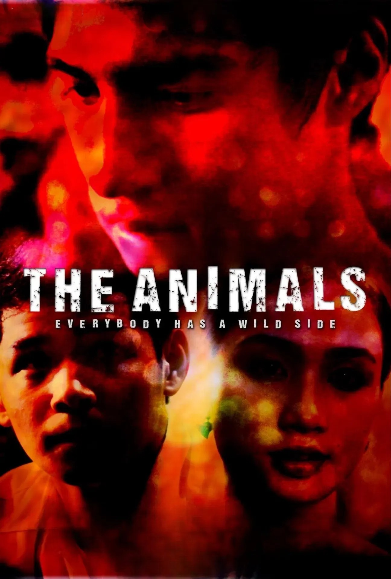 Poster of the movie The Animals