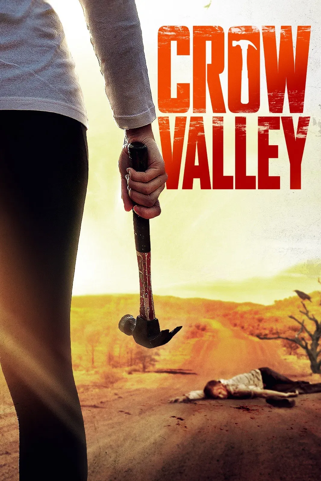 Poster of the movie Crow Valley